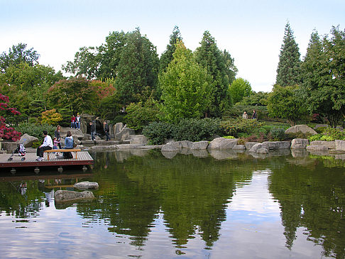 Japanischer Garten Fotos Hamburg In Fotogalerie Japanischer Garten