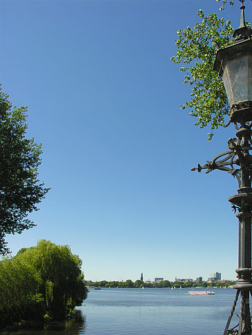 Bäume und Laterne an der Binnenalster - Hamburg (Hamburg)