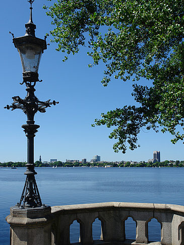 Bäume und Laterne an der Binnenalster - Hamburg (Hamburg)