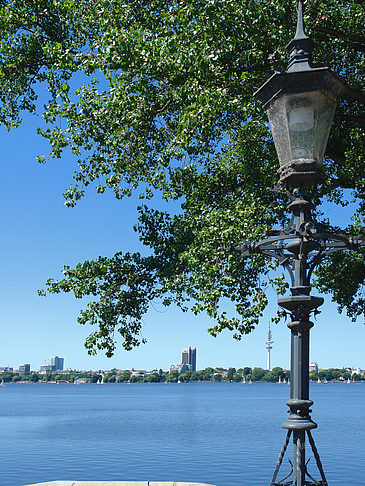 Bäume und Laterne an der Binnenalster - Hamburg (Hamburg)