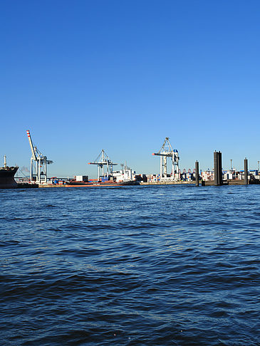 Foto Blick auf den Hafen - Hamburg