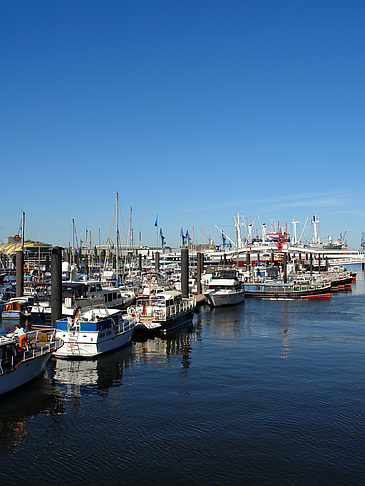 City Sporthafen - Hamburg (Hamburg)