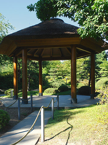 Foto Planten un Blomen - Japanischer Garten