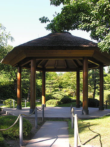 Foto Planten un Blomen - Japanischer Garten