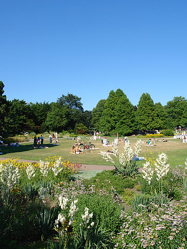 Foto Planten un Blomen - Wiese am Parksee - Hamburg