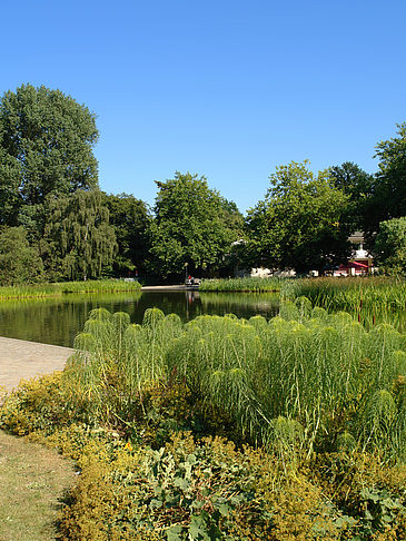 Planten un Blomen - Wiese am Parksee