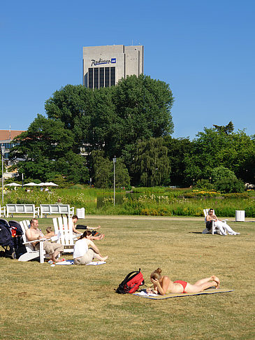 Planten un Blomen - Wiese am Parksee - Hamburg (Hamburg)