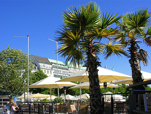 Brunchterrasse auf dem Alster Pavillon - Hamburg (Hamburg)