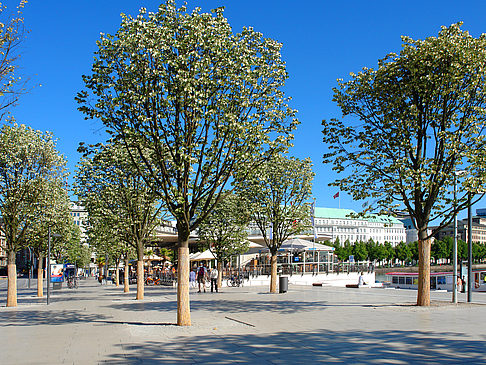 Fotos Alster Pavillon | Hamburg