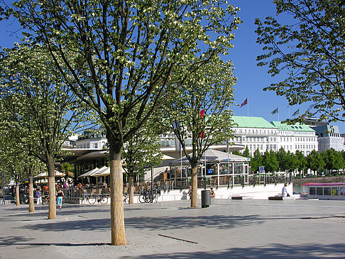 Fotos Alster Pavillon | Hamburg