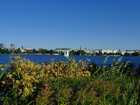 Blick nach Osten von der Außenalster - Hamburg (Hamburg)