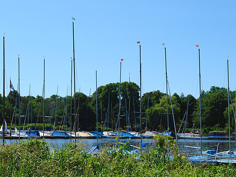 Fotos Bootsverleih und Hafen auf der Außenalster | Hamburg