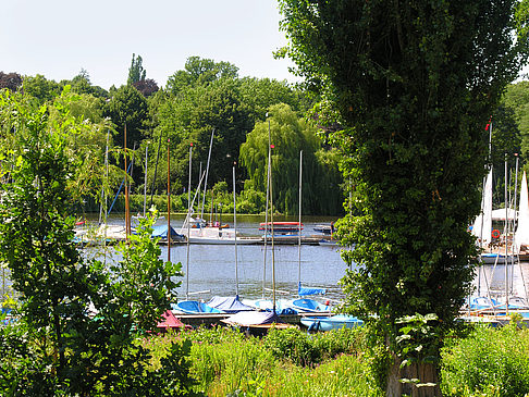 Bootsverleih und Hafen auf der Außenalster Foto 