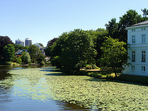 Langer Zug - Außenalster - Hamburg (Hamburg)