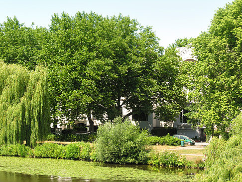 Foto Nördliche Außenalster - Hamburg