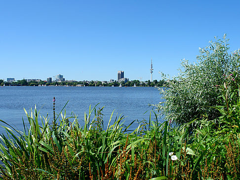 Foto Schöne Aussicht - Hamburg