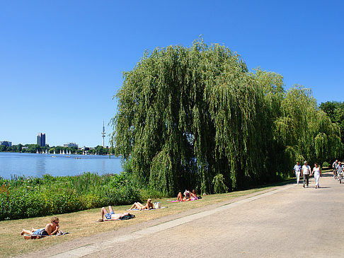 Schöne Aussicht Fotos