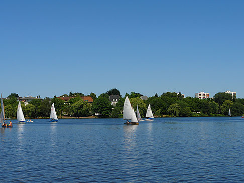 Foto Segelboote auf der Außenalster - Hamburg