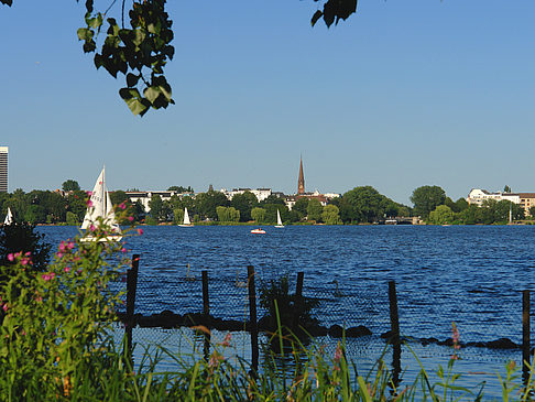 Segeln auf der Außenalster - Hamburg (Hamburg)