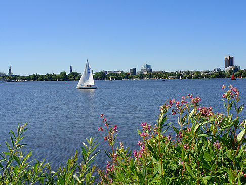 Fotos Segeln auf der Außenalster