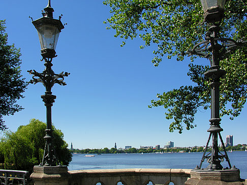 Bäume und Laterne an der Binnenalster - Hamburg (Hamburg)