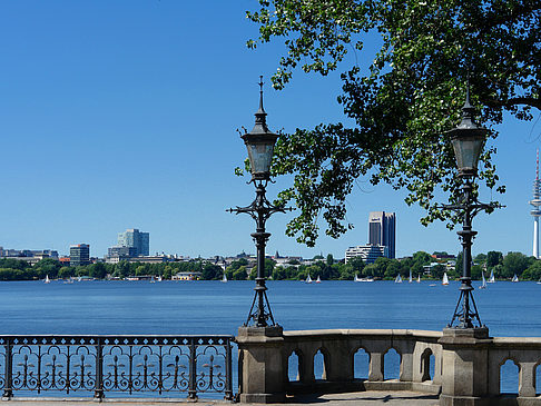 Bäume und Laterne an der Binnenalster - Hamburg (Hamburg)