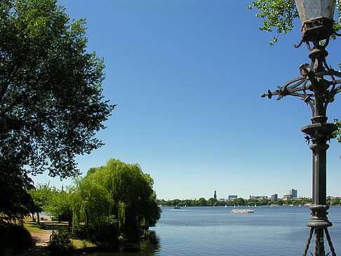 Bäume und Laterne an der Binnenalster