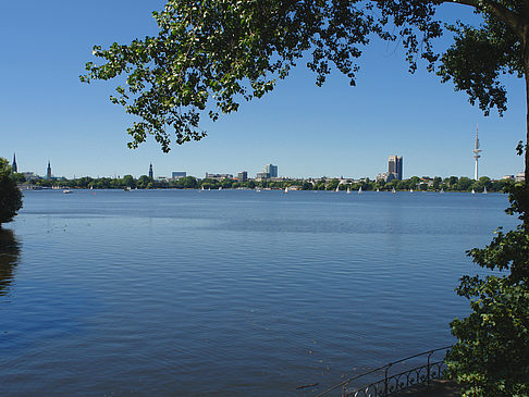 Bäume und Laterne an der Binnenalster - Hamburg (Hamburg)