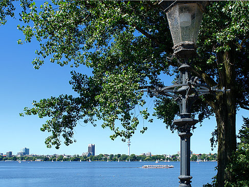 Fotos Bäume und Laterne an der Binnenalster | Hamburg