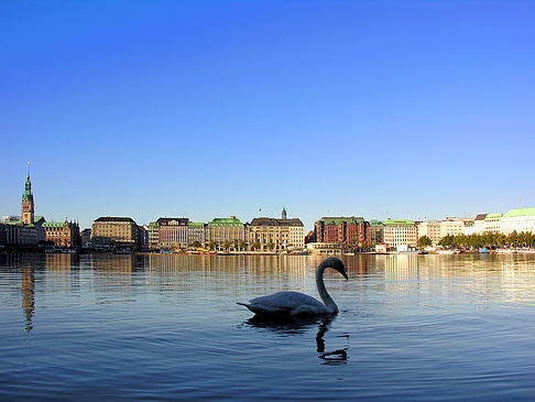 Binnenalster - Hamburg (Hamburg)