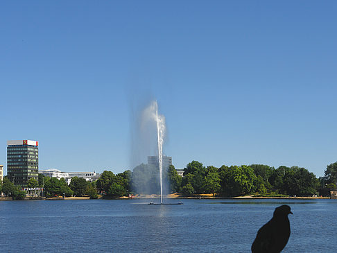 Fotos Fontäne auf der Binnenalster | Hamburg