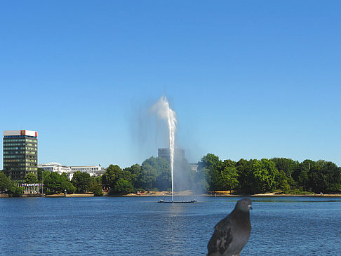 Foto Fontäne auf der Binnenalster - Hamburg