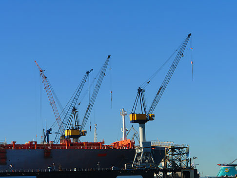 Blick auf den Hafen Foto 