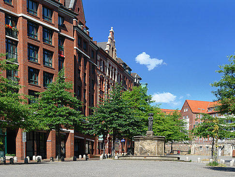 Foto Fischmarkt - Hamburg