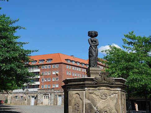 Fischmarktbrunnen Minerva Fotos