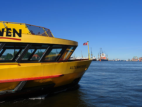 Fähre zum König der Löwen - Hamburg (Hamburg)