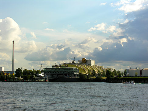 Fotos König der Löwen | Hamburg