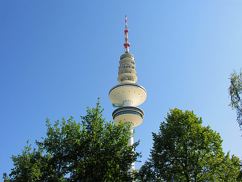 Heinrich Hertz Turm Foto 