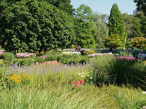 Planten un Blomen - Gärten - Hamburg (Hamburg)