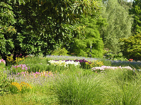 Fotos Planten un Blomen - Gärten | Hamburg