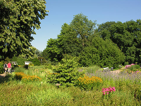 Fotos Planten un Blomen - Gärten | Hamburg