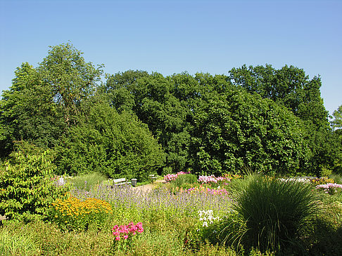 Planten un Blomen - Gärten Foto 