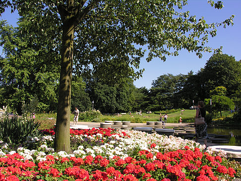 Foto Planten un Blomen - Gärten