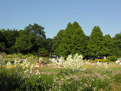 Planten un Blomen - Gärten