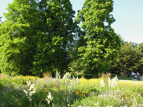 Fotos Planten un Blomen - Gärten