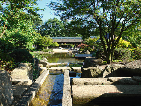 Planten un Blomen - Japanischer Garten - Hamburg (Hamburg)