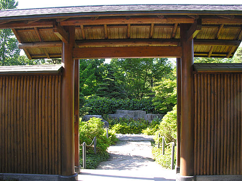 Planten un Blomen - Japanischer Garten Fotos