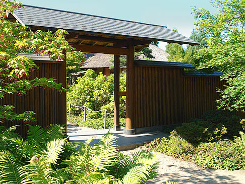 Planten un Blomen - Japanischer Garten - Hamburg (Hamburg)