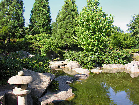 Planten un Blomen - Japanischer Garten - Hamburg (Hamburg)