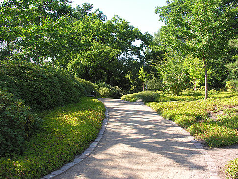 Fotos Planten un Blomen - Japanischer Garten